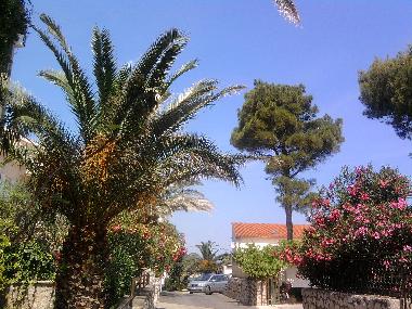 Appartement de vacances /en/au Mali Losinj  (Primorsko-Goranska)ou appartement ou maison de vacances