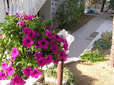 Appartement de vacances �/en/au Pag (Zadarska)ou appartement ou maison de vacances