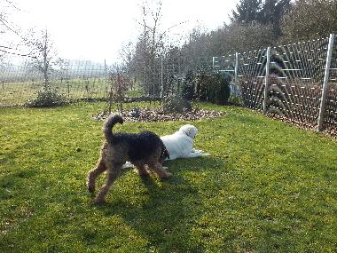 Appartement de vacances /en/au Wanna (Nordsee-Festland / Ostfriesland)ou appartement ou maison de vacances