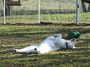 Appartement de vacances /en/au Wanna (Nordsee-Festland / Ostfriesland)ou appartement ou maison de vacances