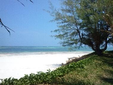 Maison de vacances �/en/au Diani Beach (Coast)ou appartement ou maison de vacances