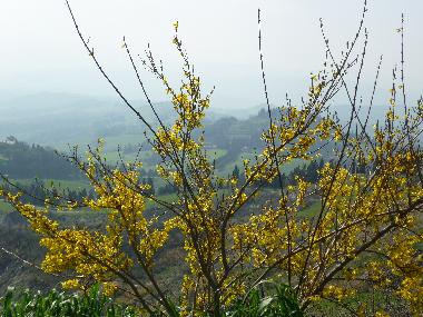 Chalet /en/au Travale (Grosseto)ou appartement ou maison de vacances