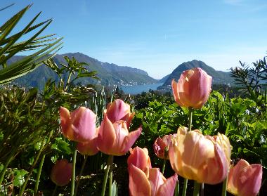 Appartement de vacances �/en/au Porza (Lugano)ou appartement ou maison de vacances