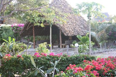 Chambre avec petit d�jeuner �/en/au Watamu (Coast)ou appartement ou maison de vacances