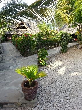 Chambre avec petit d�jeuner �/en/au Watamu (Coast)ou appartement ou maison de vacances