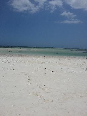 Chambre avec petit d�jeuner �/en/au Watamu (Coast)ou appartement ou maison de vacances