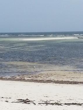 Chambre avec petit d�jeuner �/en/au Watamu (Coast)ou appartement ou maison de vacances