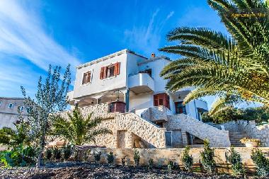 Appartement de vacances /en/au Molat (Zadarska)ou appartement ou maison de vacances
