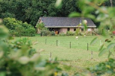 Maison de vacances /en/au Slagharen (Overijssel)ou appartement ou maison de vacances