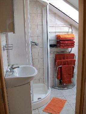 Salle des bains avec douche