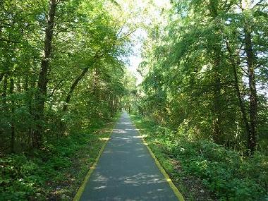 La piste cyclable autour du Lac