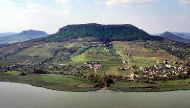 Une paysage magnifique avec les vignobles