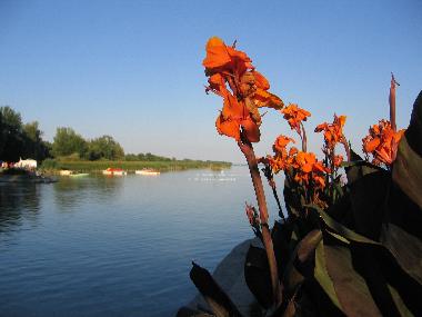 La plage proche � l