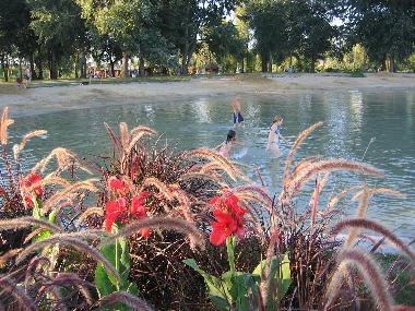 Notre plage sableuse et ombrageuse