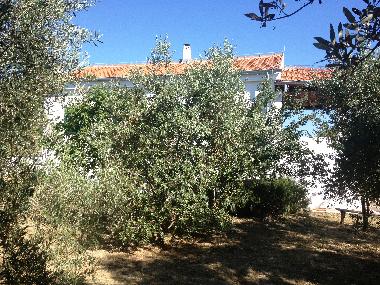 Maison de vacances �/en/au �drelac (Zadarska)ou appartement ou maison de vacances