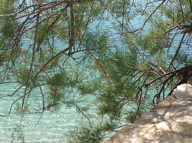 Appartement de vacances /en/au Pisak (Splitsko-Dalmatinska)ou appartement ou maison de vacances