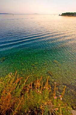 Appartement de vacances /en/au Rab (Primorsko-Goranska)ou appartement ou maison de vacances