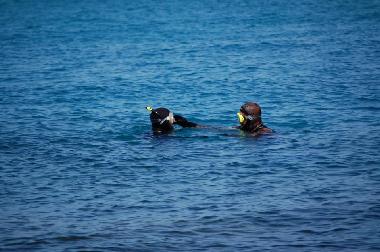 initiation chasse sous marine