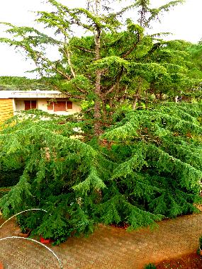 Villa /en/au Mondello (Palermo)ou appartement ou maison de vacances