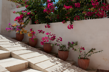 Chambre avec petit d�jeuner �/en/au La Habana (La Habana)ou appartement ou maison de vacances