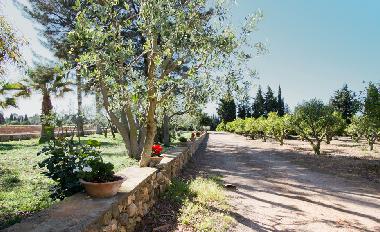 Villa /en/au Muro (Mallorca)ou appartement ou maison de vacances