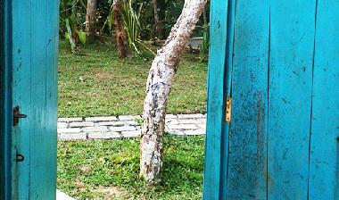 Villa �/en/au Dickwella (Gampaha)ou appartement ou maison de vacances