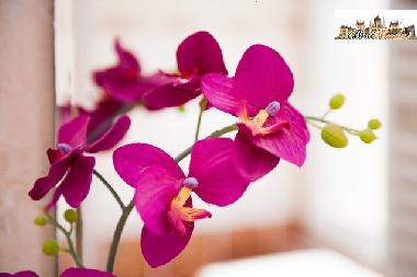 Appartement de vacances �/en/au Budapest (Budapest)ou appartement ou maison de vacances