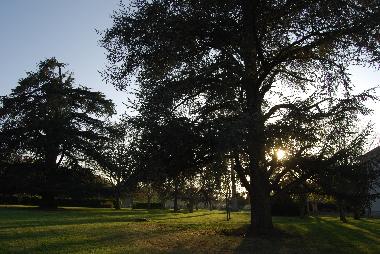 Grand parc orn� de c�dres plusieurs fois centenaires