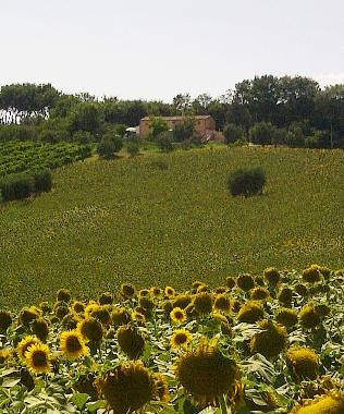 Maison de vacances �/en/au Morro d