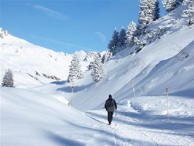 Appartement de vacances /en/au mellau (Bludenz-Bregenzer Wald)ou appartement ou maison de vacances