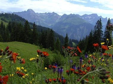 Appartement de vacances /en/au mellau (Bludenz-Bregenzer Wald)ou appartement ou maison de vacances