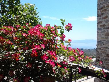 Maison de vacances /en/au Ano Gatzea (Magnisia)ou appartement ou maison de vacances