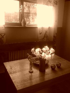 Appartement de vacances �/en/au zagreb (Grad Zagreb)ou appartement ou maison de vacances