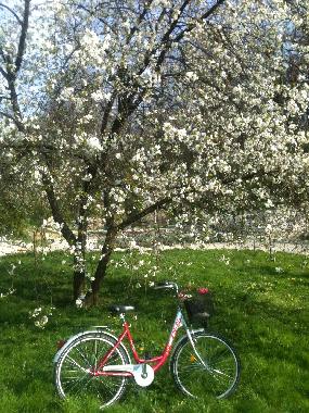 Appartement de vacances �/en/au zagreb (Grad Zagreb)ou appartement ou maison de vacances