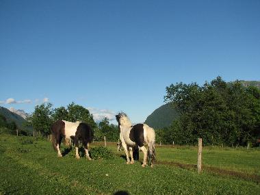 Maison de vacances �/en/au BREGINJ (Kobarid)ou appartement ou maison de vacances