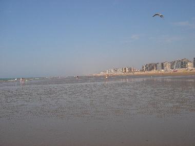 Appartement de vacances /en/au SINT-IDESBALD / KOKSIJDE (Flandre)ou appartement ou maison de vacances