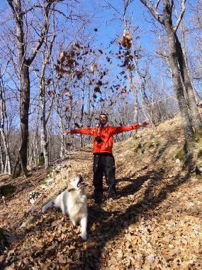 Maison de vacances �/en/au Sezana (Sezana)ou appartement ou maison de vacances