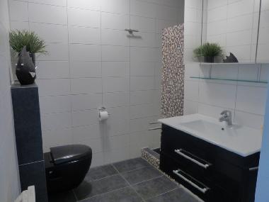 Appartement de vacances /en/au Buren (Friesland)ou appartement ou maison de vacances