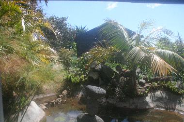 Chalet /en/au Caniço (Madeira)ou appartement ou maison de vacances