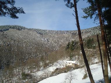 Maison de vacances /en/au Lalaye-Charbes (Bas-Rhin)ou appartement ou maison de vacances
