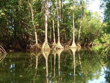 Villa �/en/au Dominical (Puntarenas)ou appartement ou maison de vacances