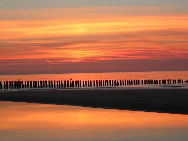 Maison de vacances �/en/au Nieuwvliet-Bad (Zeeland)ou appartement ou maison de vacances