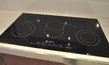 Appartement de vacances /en/au CANNES (Alpes-Maritimes)ou appartement ou maison de vacances