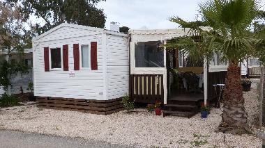 Chalet �/en/au Hy�res (Var)ou appartement ou maison de vacances