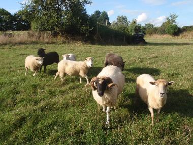 Maison de vacances �/en/au Plouz�lambre (C�tes-d