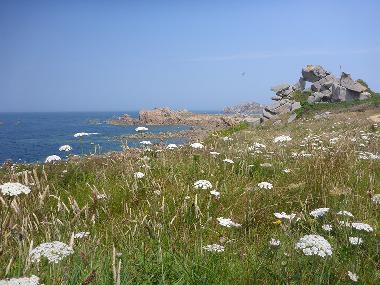 Maison de vacances �/en/au Plouz�lambre (C�tes-d