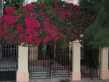 Maison de vacances �/en/au Vedado (La Habana)ou appartement ou maison de vacances