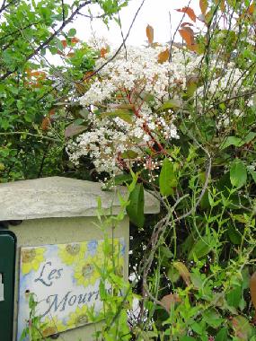 Maison de vacances /en/au Lalandusse (Lot-et-Garonne)ou appartement ou maison de vacances