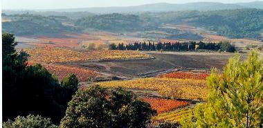 Maison de vacances /en/au Siran (Hrault)ou appartement ou maison de vacances