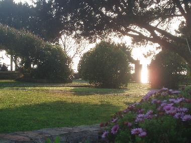 Appartement de vacances /en/au PYRGOS (Ileia)ou appartement ou maison de vacances